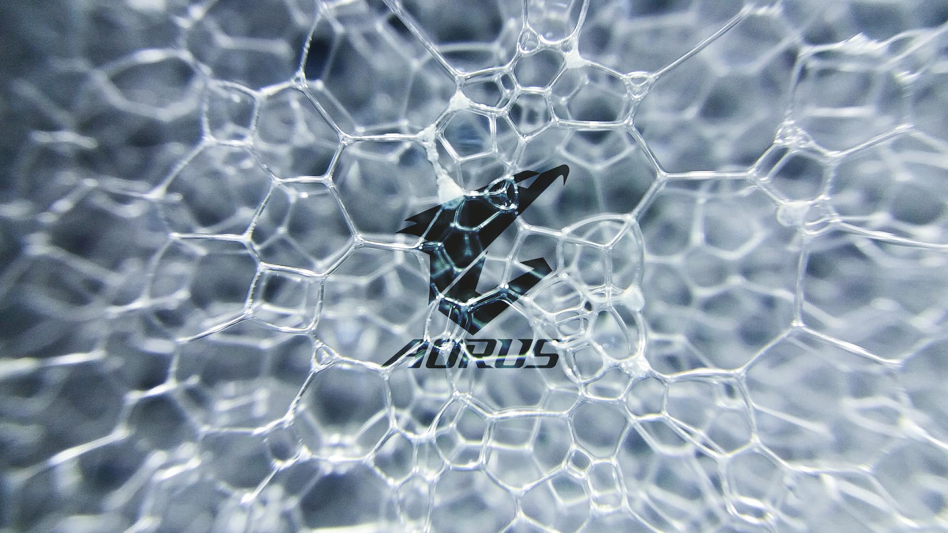 Get Drown with AORUS